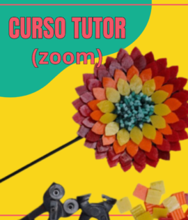 Curso Tutor (zoom)