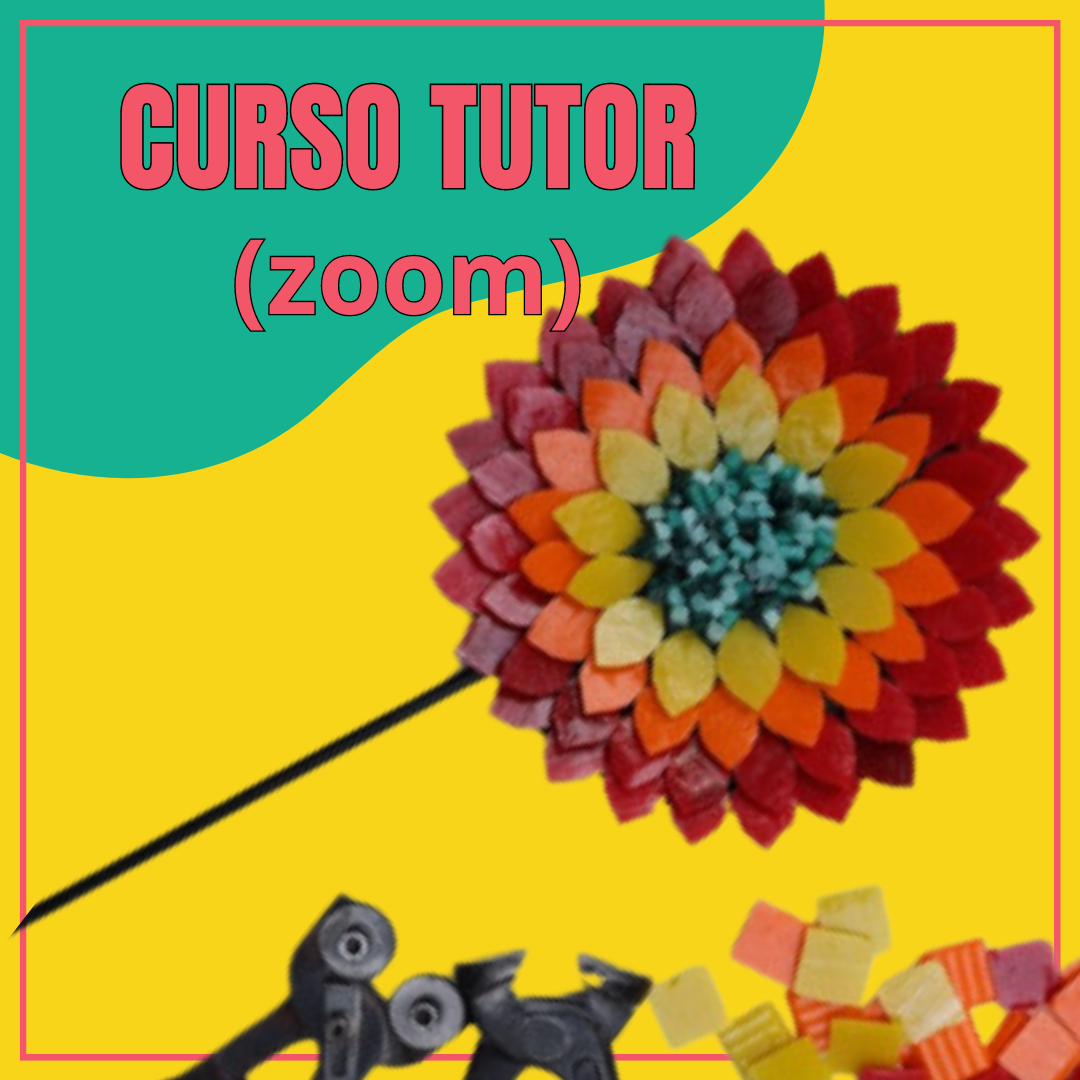 Curso Tutor (zoom)