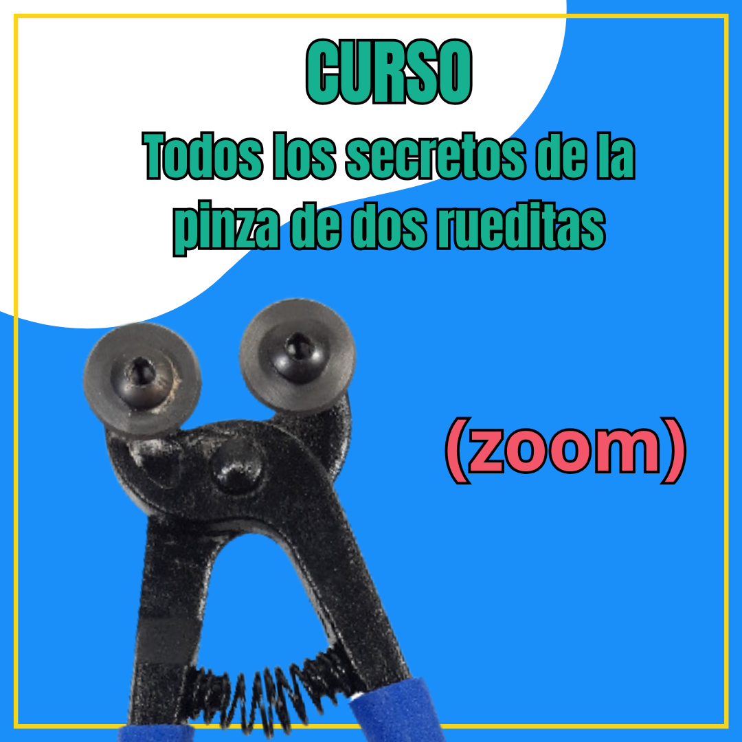 Todos los secretos de la Pinza de Rueditas - Zoom 9/11/2024